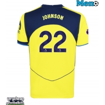 Tottenham Hotspur Brennan Johnson #22 Replica Third Shirt 2025-26 Short Sleeve